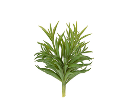 Succulent stilk 18 cm  Grønn - presenttime
