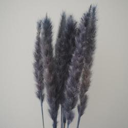 Tail Reed mini blå - floradekor