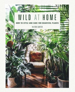 Wild at home - tablebook  wild at home  - New mags
