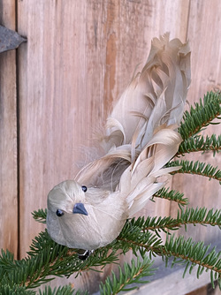Krøllfjær-fugl Beige - UND Signature 
