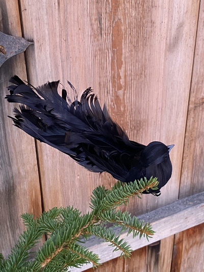 Krøllfjær-fugl Svart - UND Signature 