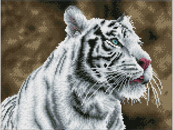 Diamond Dotz Squares DQ8 - Tiger Blanc Tiger blanc - Diamond Dotz