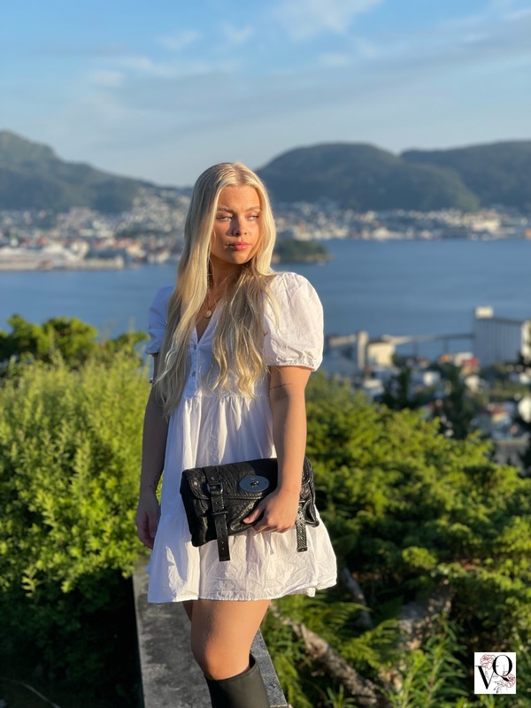 Mulberry Alexa Clutch