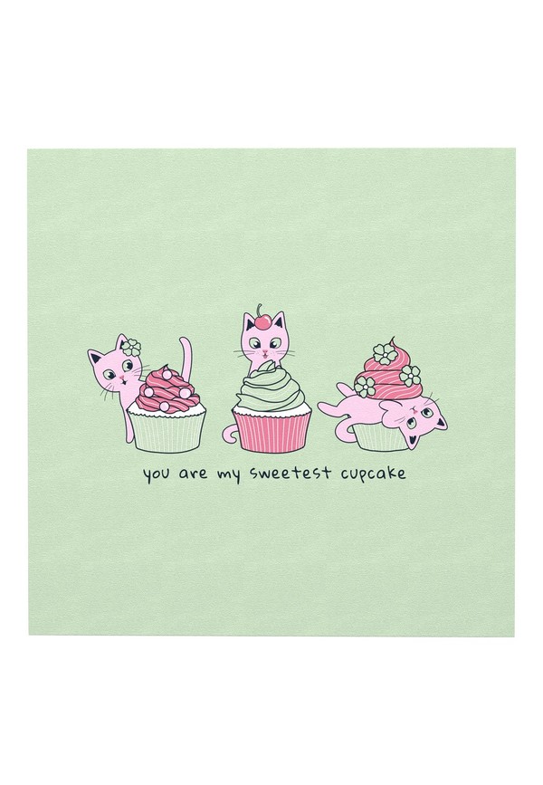 NKF NIGHTSET AMBROSIA CAT NOOS