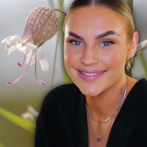 THE MEADOW NR 2 SILENE