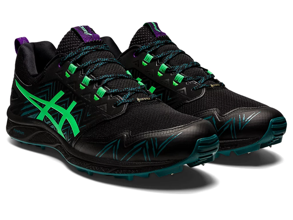 Asics Fujisetsu gtx