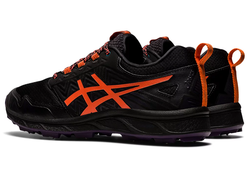 Asics Fujisetsu gtx