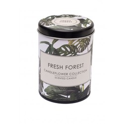 Duftlys - Fresh Forest  ikke relevant - Wikholm