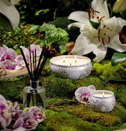 Duftlys - Mokara 113g, 25t 