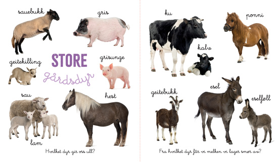PEKEBOK VÅRE HUSDYR SE OG LÆR