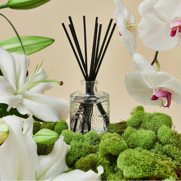 Duftpinner - Mokara 100ml