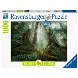 Ravensburger puslespill 1000 Skog 1000 biter - Ravensburger