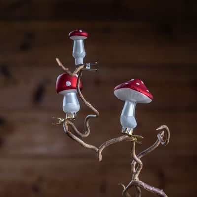 UND Glassdekor, Sopp Sett ikke relevant - UND Signature 