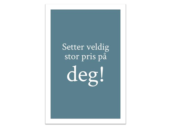 Setter stor pris på deg | 10x15 cm