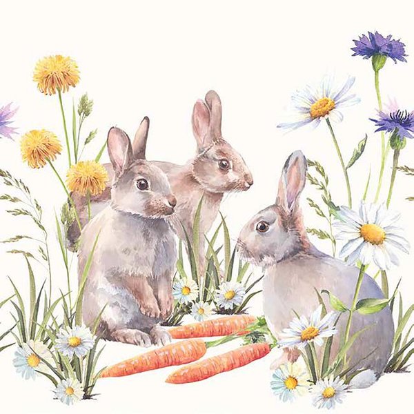 Napkin Carrot Treats, 33x33cm 20stk