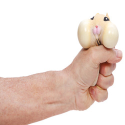 SQUEEZE HAMSTER