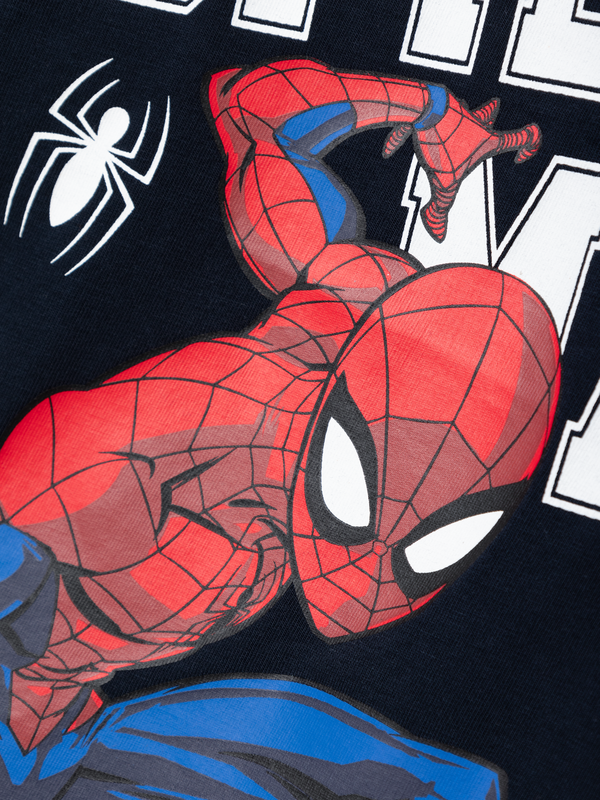 SPIDERMAN LS TOPP