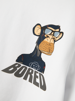 NKMDYN BOREDOFD NREG SS TOP