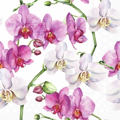 Napkin Elegant Orchids, 33x33cm 20stk ikke relevant - Ambiente