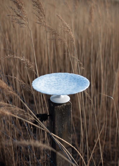 Slåpeblom Kakefat 21cm Lys blå - Wik & Walsøe