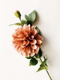Dahlia 66cm Støvet Rosa - Trend Design