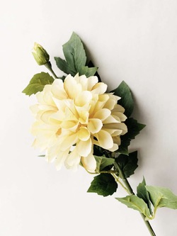 Dahlia 66cm Støvet Gul - Trend Design
