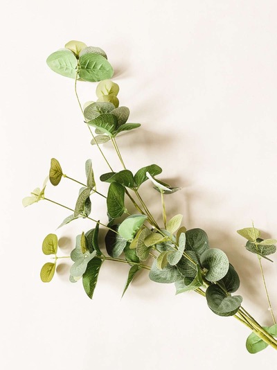 Gren Eucalyptus 84cm ikke relevant - Trend Design