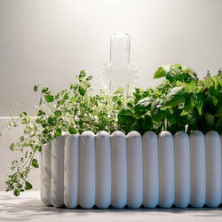 Vanningskule - Hattifnattene