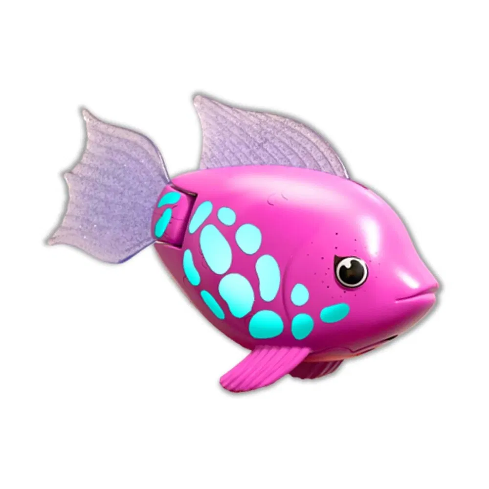 Rainbow Reef Fish - Tuna Turner
