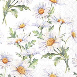 Kaffe Servietter 25x25cm, 20stk Beautiful Daisies  - Ambiente