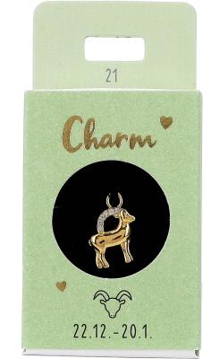 Express Yourself Anheng til øreringer (Nickel free tested) - Capricorn