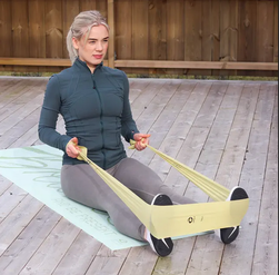 Abilica Fitness Band