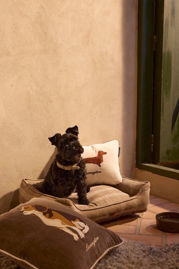 Hund Pute i Økologisk Bomullsfløyel