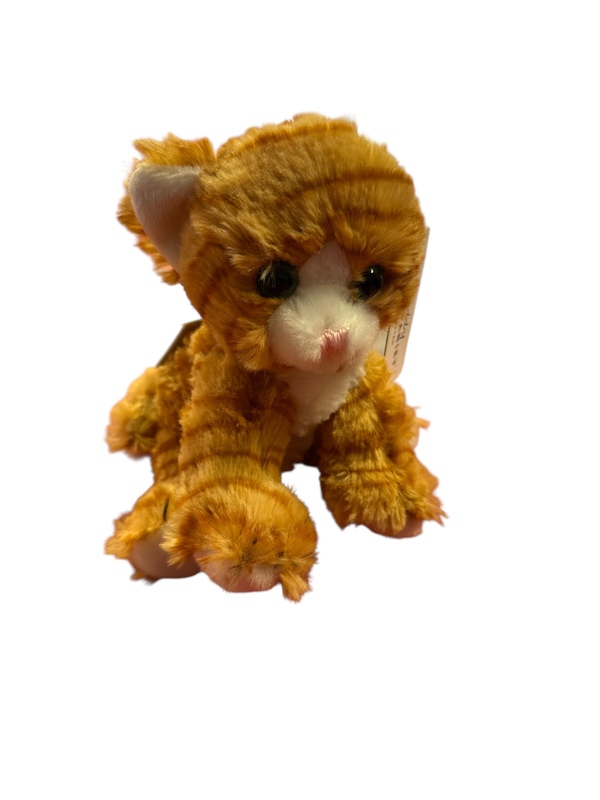 Teddykompaniet Kattekompis 18cm