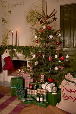 Dog Sleigh Ornament i Økologisk Bomull