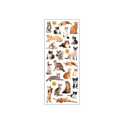 STICKERS KATTER TINKA Katter - Småvarer