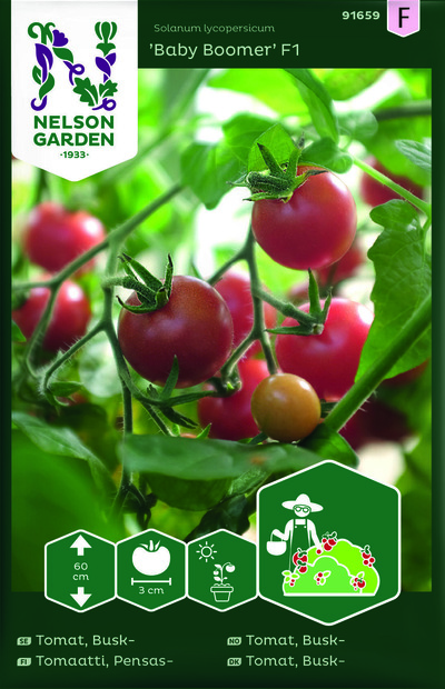Tomat, Busk - Baby Boomer F1 ikke relevant - Nelson Garden