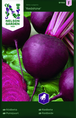 Rødbete - Redshine ikke relevant - Nelson Garden