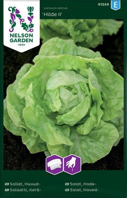 Salat, Hode - Hilde II, Frøbånd ikke relevant - Nelson Garden