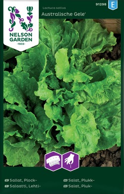 Salat, Plukk - Australischer Gele, Frøbånd ikke relevant - Nelson Garden