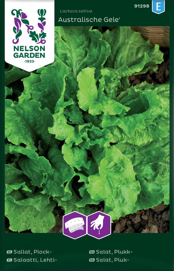 Salat, Plukk - Australischer Gele, Frøbånd