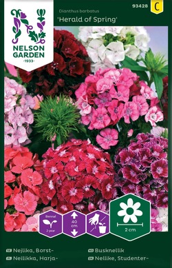 Busknellik - Herald of Spring ikke relevant - Nelson Garden