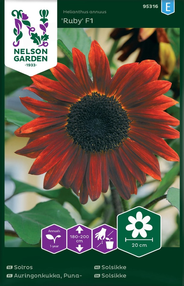 Solsikke - Ruby F1