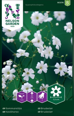 Brudeslør - Hvit ikke relevant - Nelson Garden