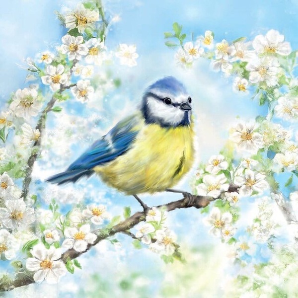 Napkin Blossom Time - Lunsj 33x33cm, 20stk