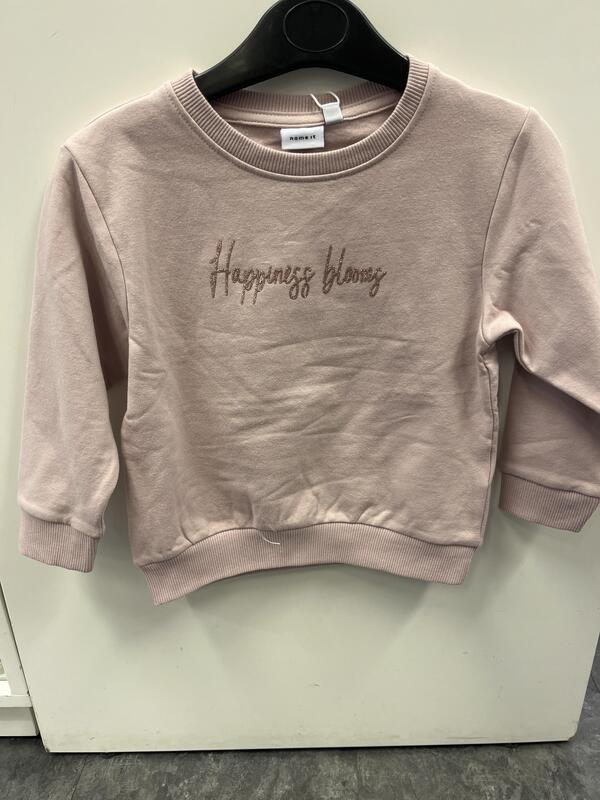 NMFLAISE NREG SWEAT BRU