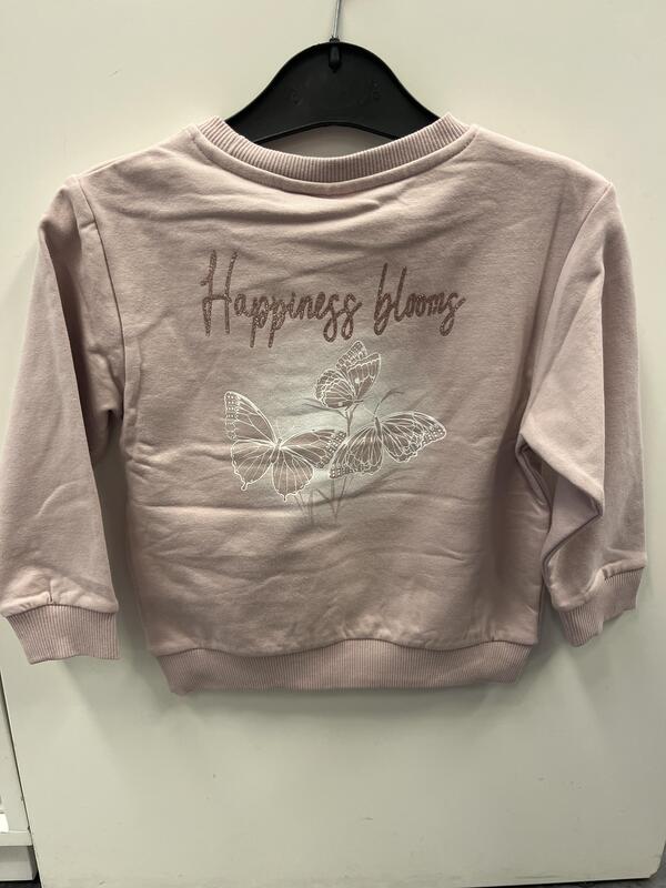 NMFLAISE NREG SWEAT BRU