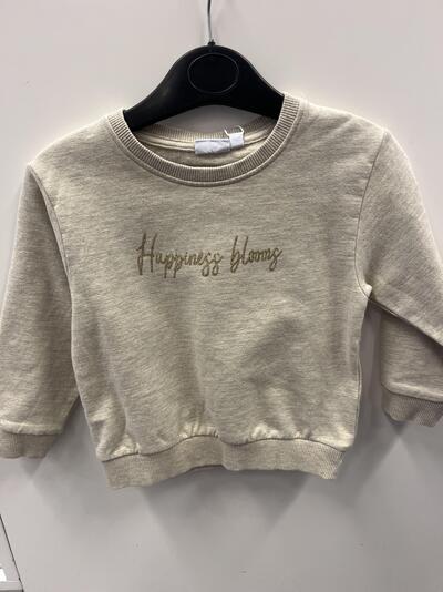 NMFLAISE NREG SWEAT BRU Peyote Melange - Name It