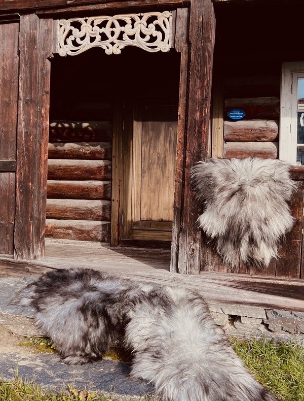 Spælsaueskinn fra Færøyene