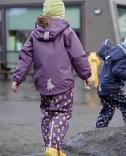 Kattnakken Regnsett Plask Viola viola - Kattnakken